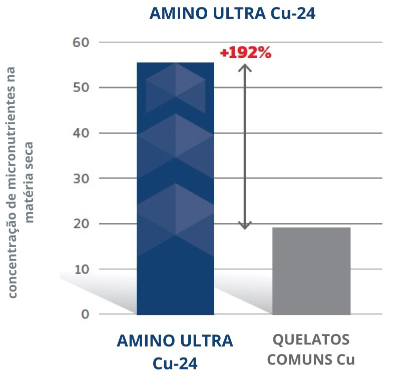 Amino Ultra Cu-24