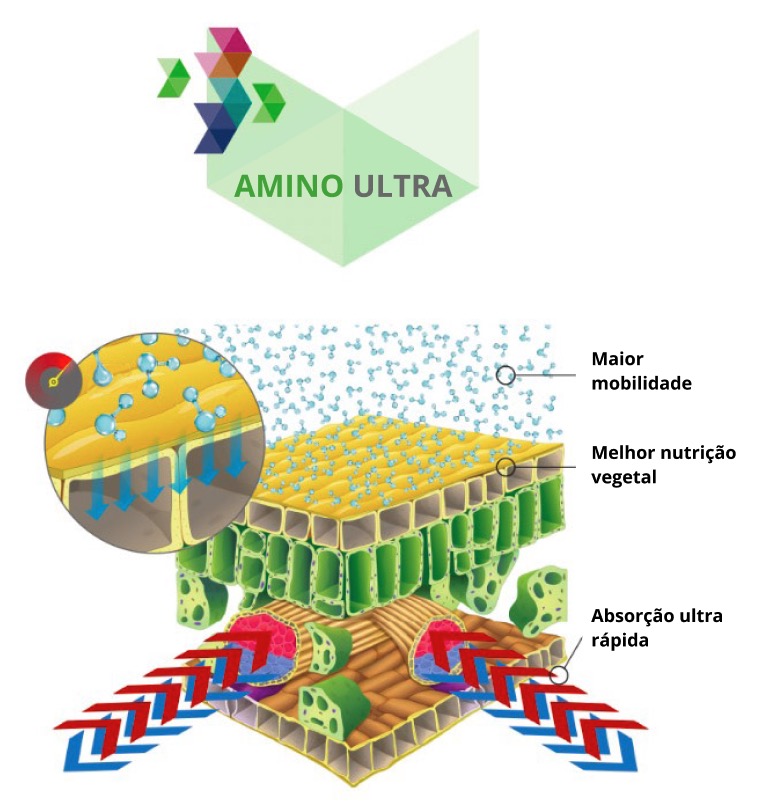 amino ultra chelat